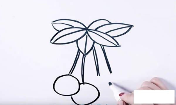 桂圆简笔画步骤图