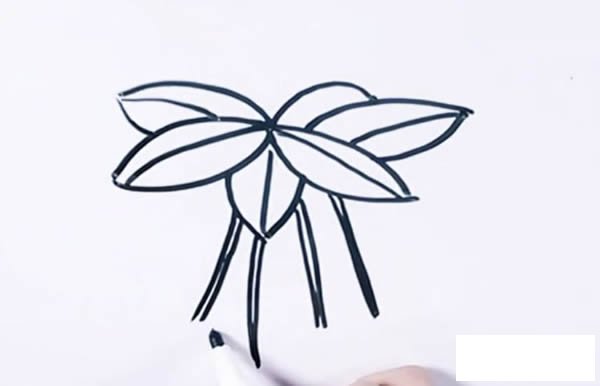 桂圆简笔画步骤图