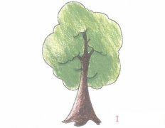 手绘一棵大树简笔画画法步骤教程涂颜色