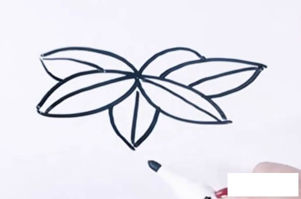 桂圆简笔画步骤图