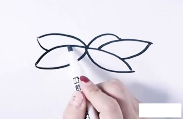 桂圆简笔画步骤图