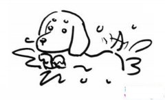 小狗游泳简笔画图片