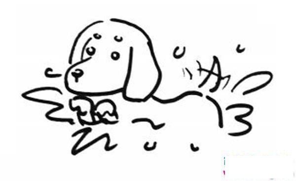 小狗游泳简笔画图片