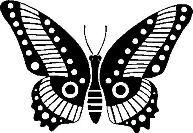 美丽的蝴蝶简笔画步骤图片大全