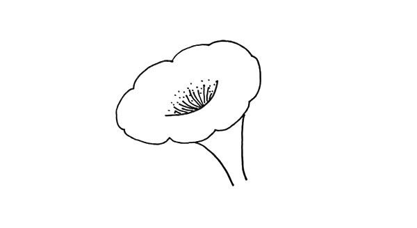 喇叭花简笔画