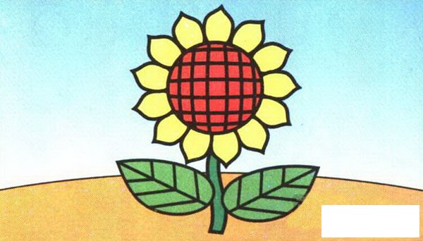 向日葵彩色简笔画图片