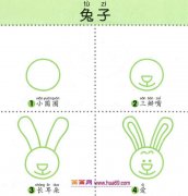 幼儿简笔画：四步画长耳朵的兔子图解教程