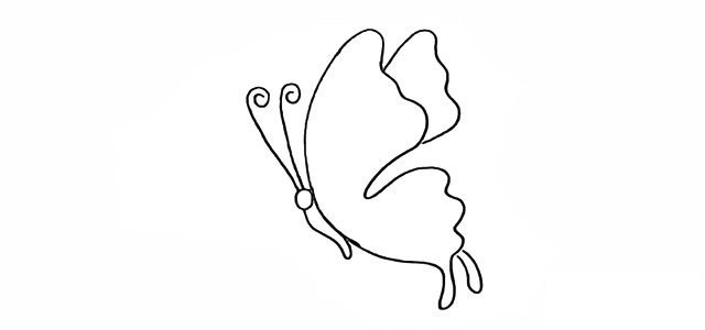 漂亮的蝴蝶简笔画