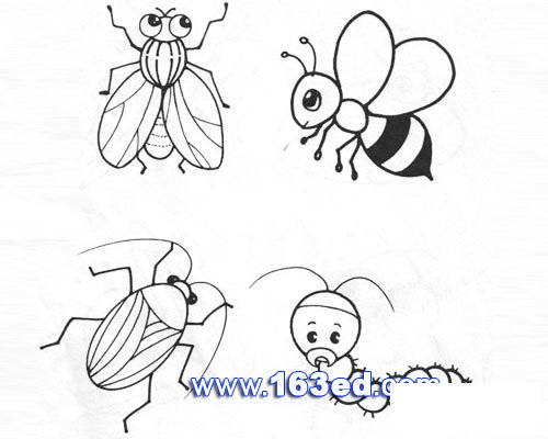昆虫简笔画图片:蜜蜂2