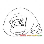 河马【动物简笔画】2