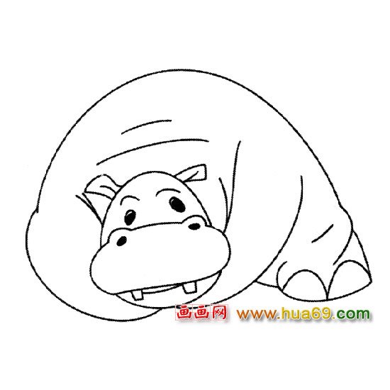 河马【动物简笔画】2