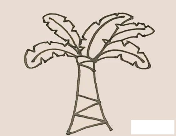 芭蕉树简笔画图片