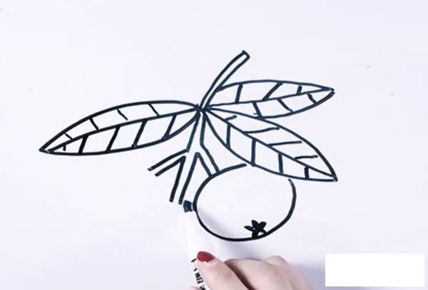 橘子简笔画图片