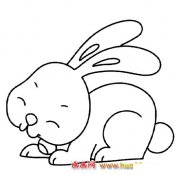简笔画【漂亮的兔子】5