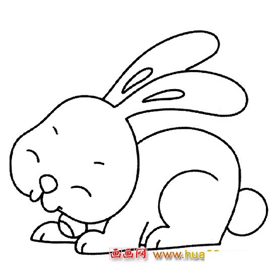 简笔画【漂亮的兔子】5
