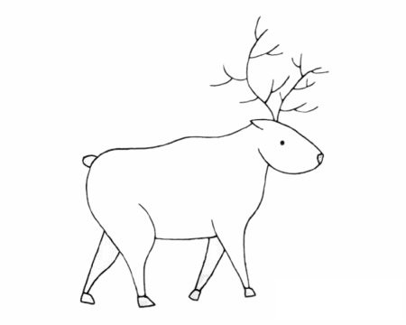 驼鹿简笔画图片