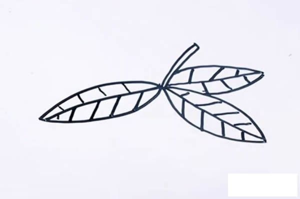 橘子简笔画图片