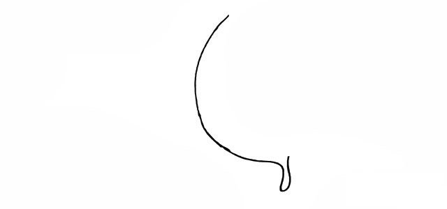 漂亮的蝴蝶简笔画