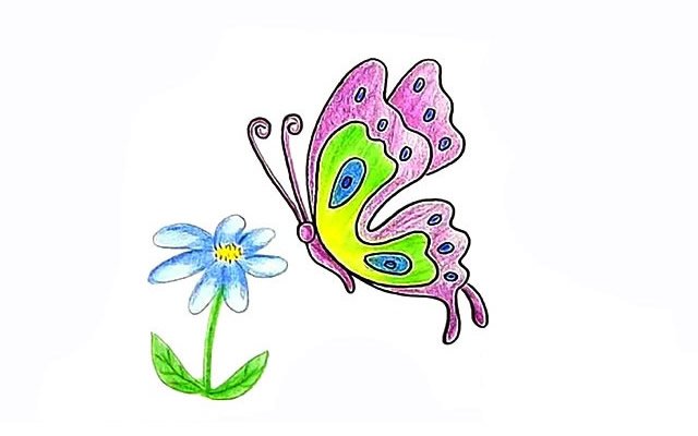 漂亮的蝴蝶简笔画完成图