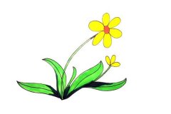 一步步教你画太阳花简笔画教程