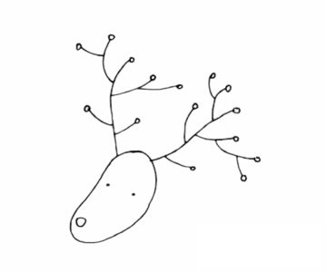 驼鹿简笔画图片