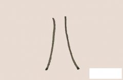 芭蕉树简笔画的画法步骤图教程