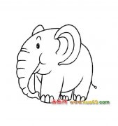 简笔画：高大的大象2