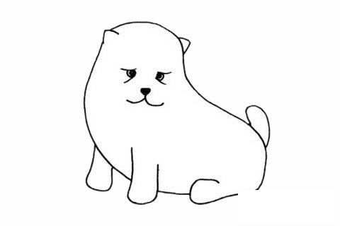 松狮犬简笔画图片