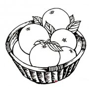 3款水果简笔画蜜桔的画法