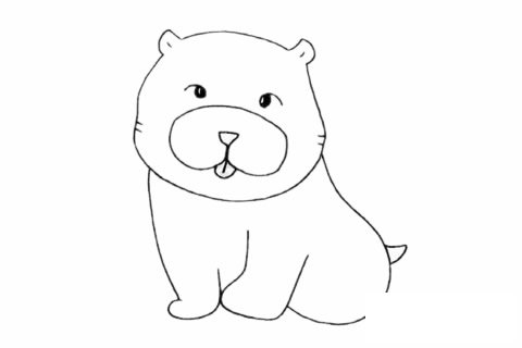 松狮犬简笔画图片