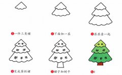 松树植物简笔画步骤图片大全