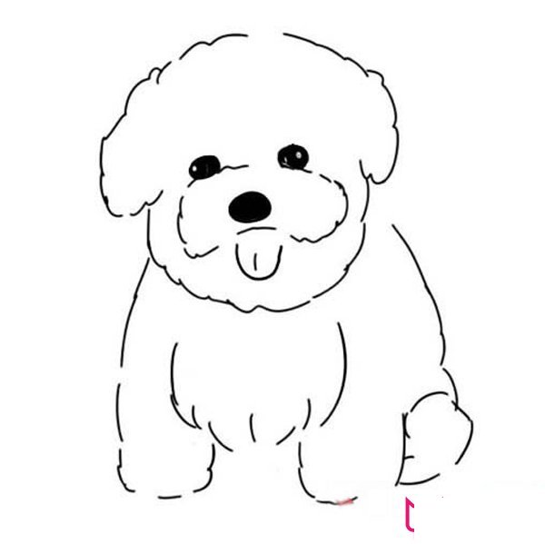 可爱的小狗简笔画，比熊犬简笔画