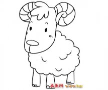 卷角的绵羊_动物简笔画