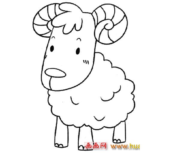 卷角的绵羊_动物简笔画