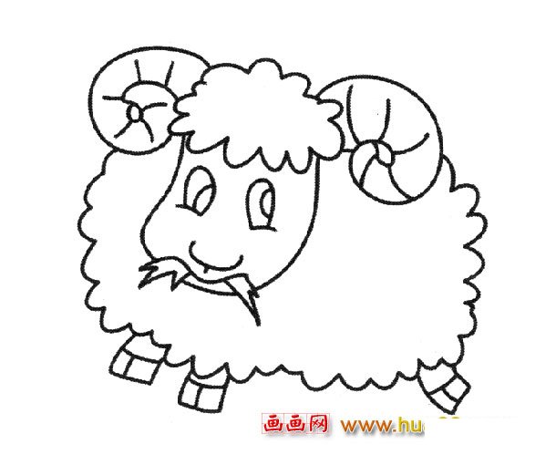 吃草的绵羊_动物简笔画