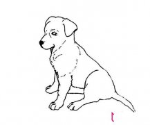 简单的小狗简笔画,坐立的小狗