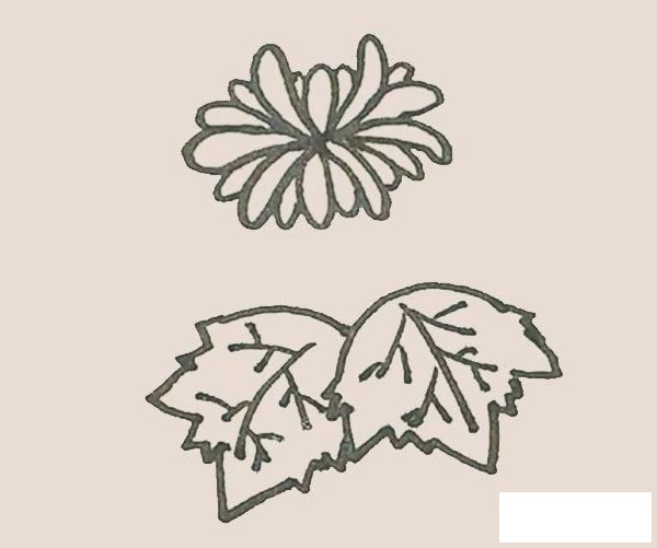 菊花简笔画图片