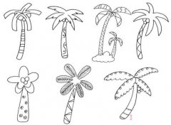 一步一步椰子树简笔画图片 手绘椰子树简笔画图