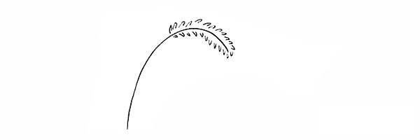 狗尾草简笔画画法步骤图