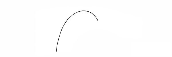 狗尾草简笔画画法步骤图