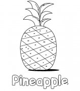 菠萝水果简笔画步骤图片大全六