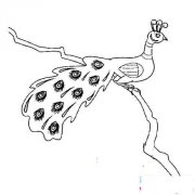 少儿孔雀简笔画大全:树枝上的孔雀