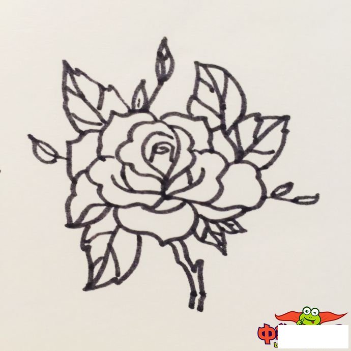 玫瑰花怎么画简单好看,玫瑰花简笔画图片大全