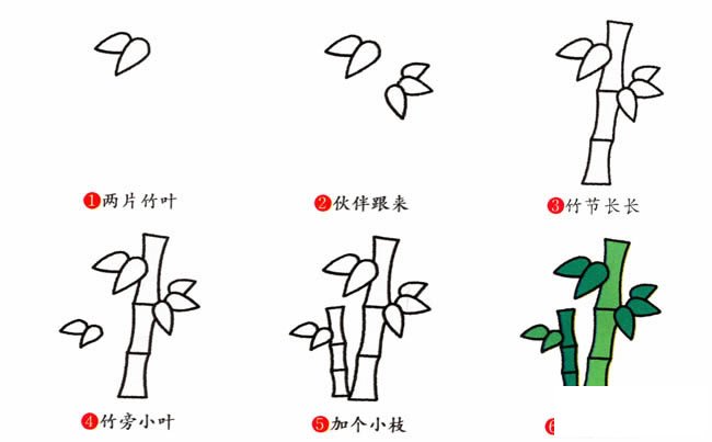 竹子植物简笔画步骤图片大全