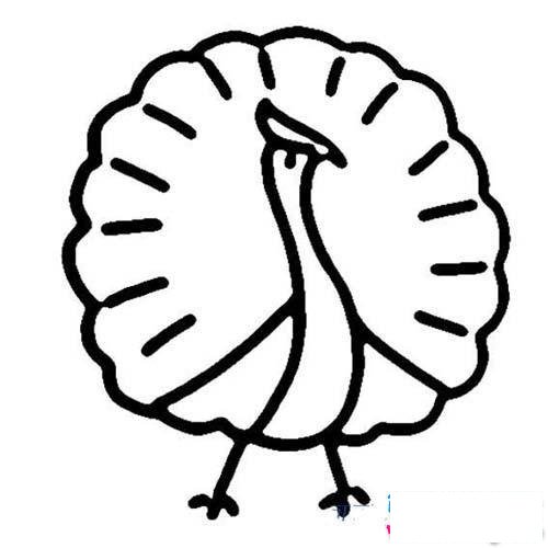 幼儿关于开屏的孔雀简笔画图片