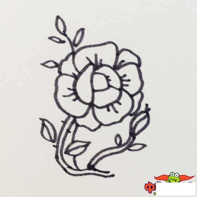 玫瑰花怎么画简单好看,玫瑰花简笔画图片大全