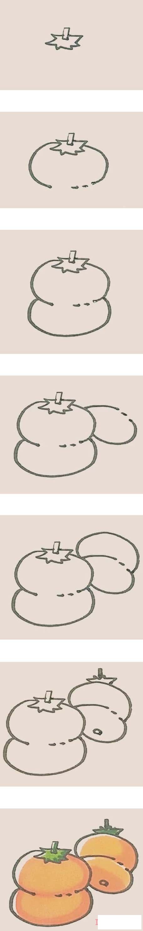 彩色柿子简笔画画法步骤教程简单好看