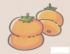 彩色柿子简笔画画法步骤教程简单好看