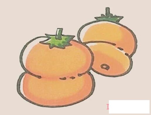 彩色柿子简笔画画法步骤教程简单好看