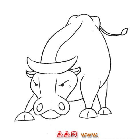 简笔画:发怒的牛
